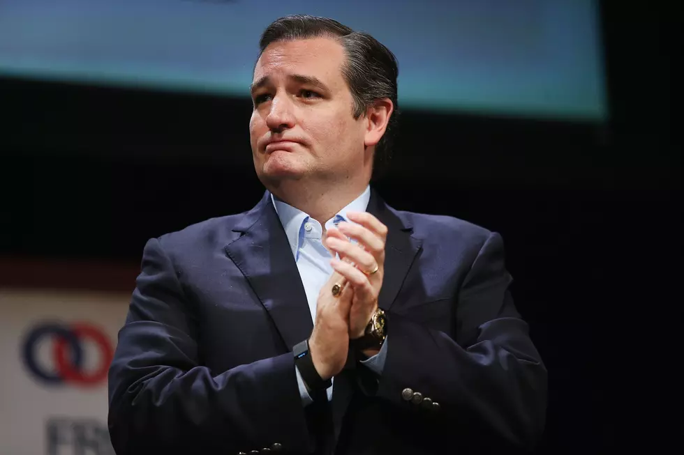 Senator Ted Cruz Says Majority Leader Mitch McConnell Told a ‘Flat-Out Lie’ [VIDEO]