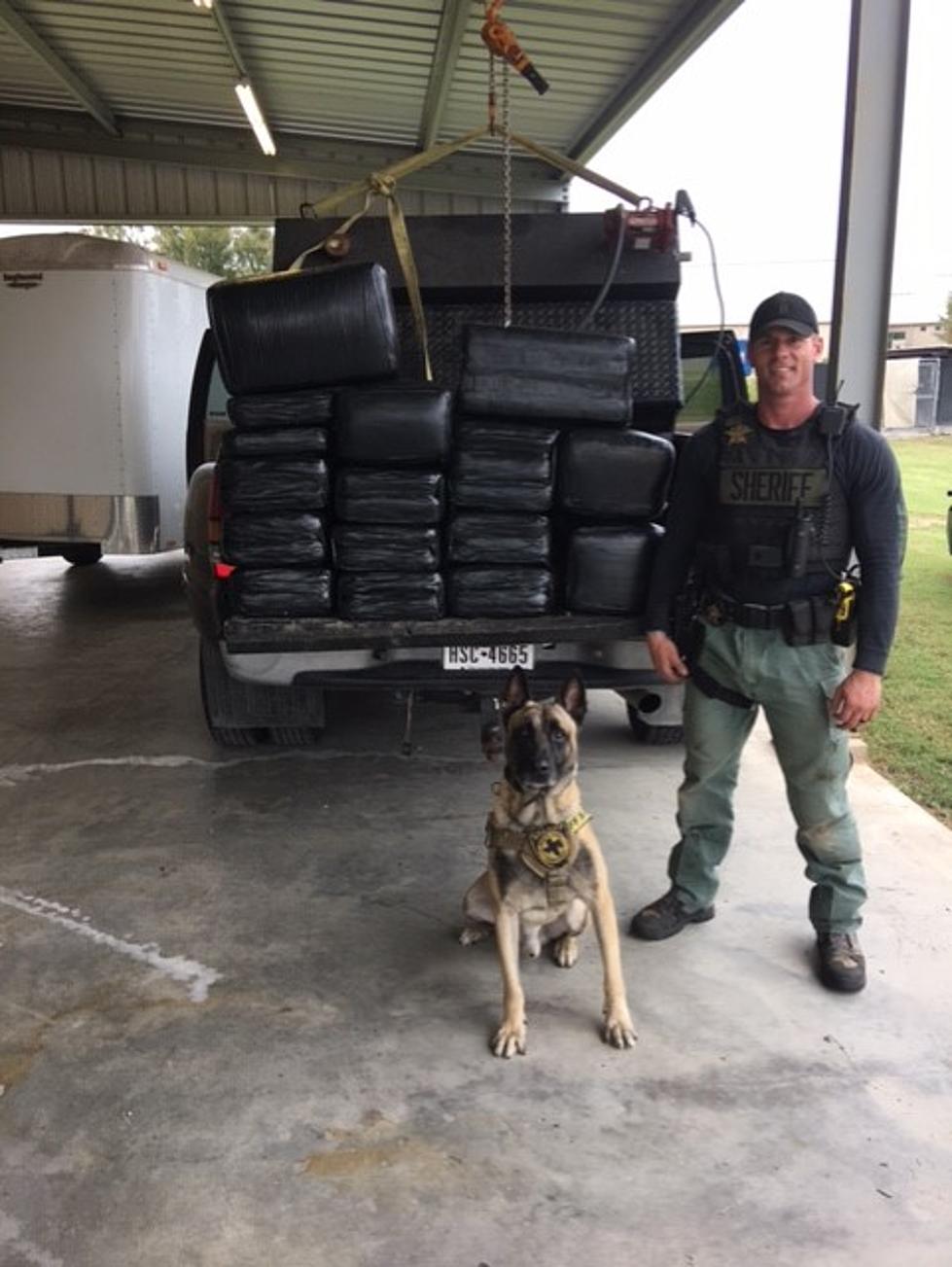Texas&#8217; Famous Crime-Fighting K9 Lobos Busts Lubbock Man With 468 Lbs of Pot