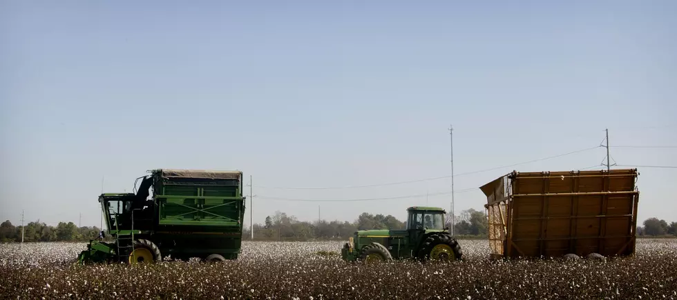 Senator Ted Cruz Opposes Directing $12 Billion to Aid Farmers [Interview]