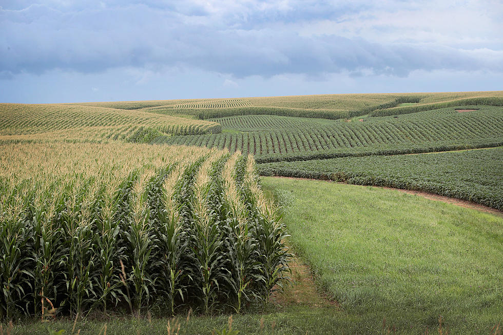 USDA Offers Aid to Texas Farmers with Market Facilitation Program