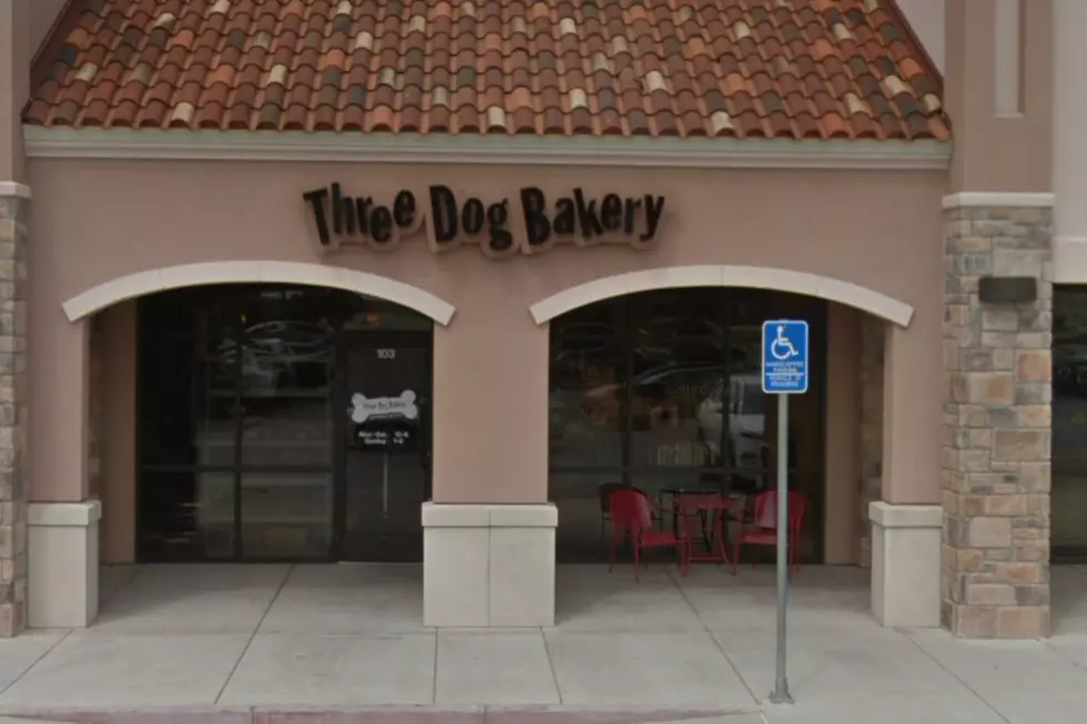 Three Dog Bakery in Lubbock Raising Funds for Meals on Wheels Pet Program