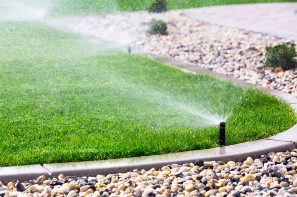 City of Lubbock Issues Watering Guidelines For Spring and Summer