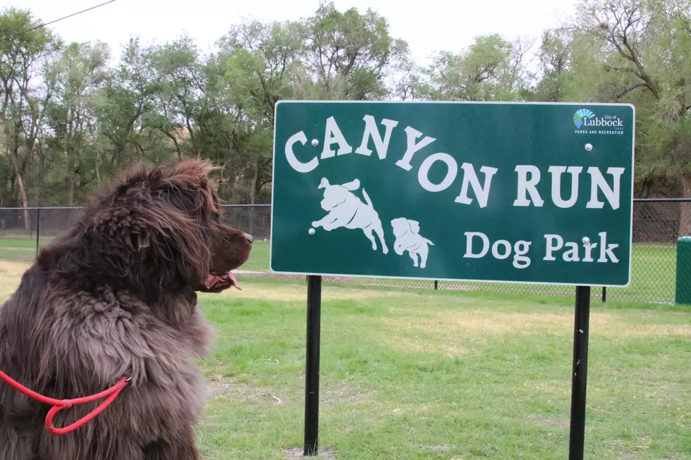 Two Lubbock Dog Parks Will Be Closed Friday