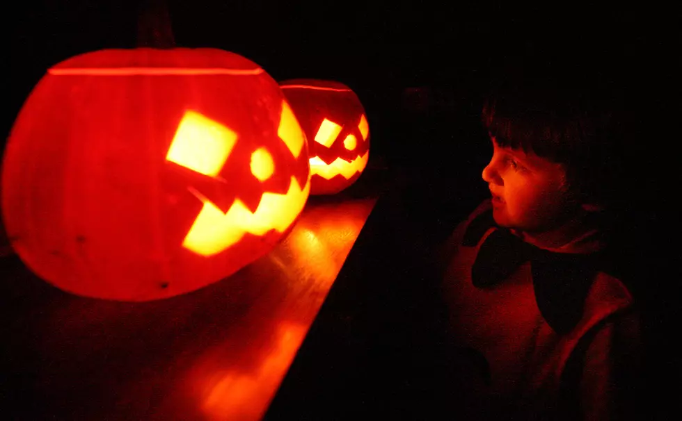 Donate Your Carved Pumpkins to the Lubbock Memorial Arboretum