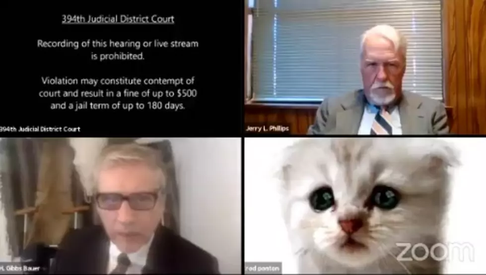 Texas Lawyer Can’t Figure Out Zoom Filter During Call With Judge