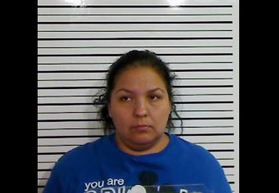 Plainview Police Arrest Woman for Smuggling Nine People, Including a Minor