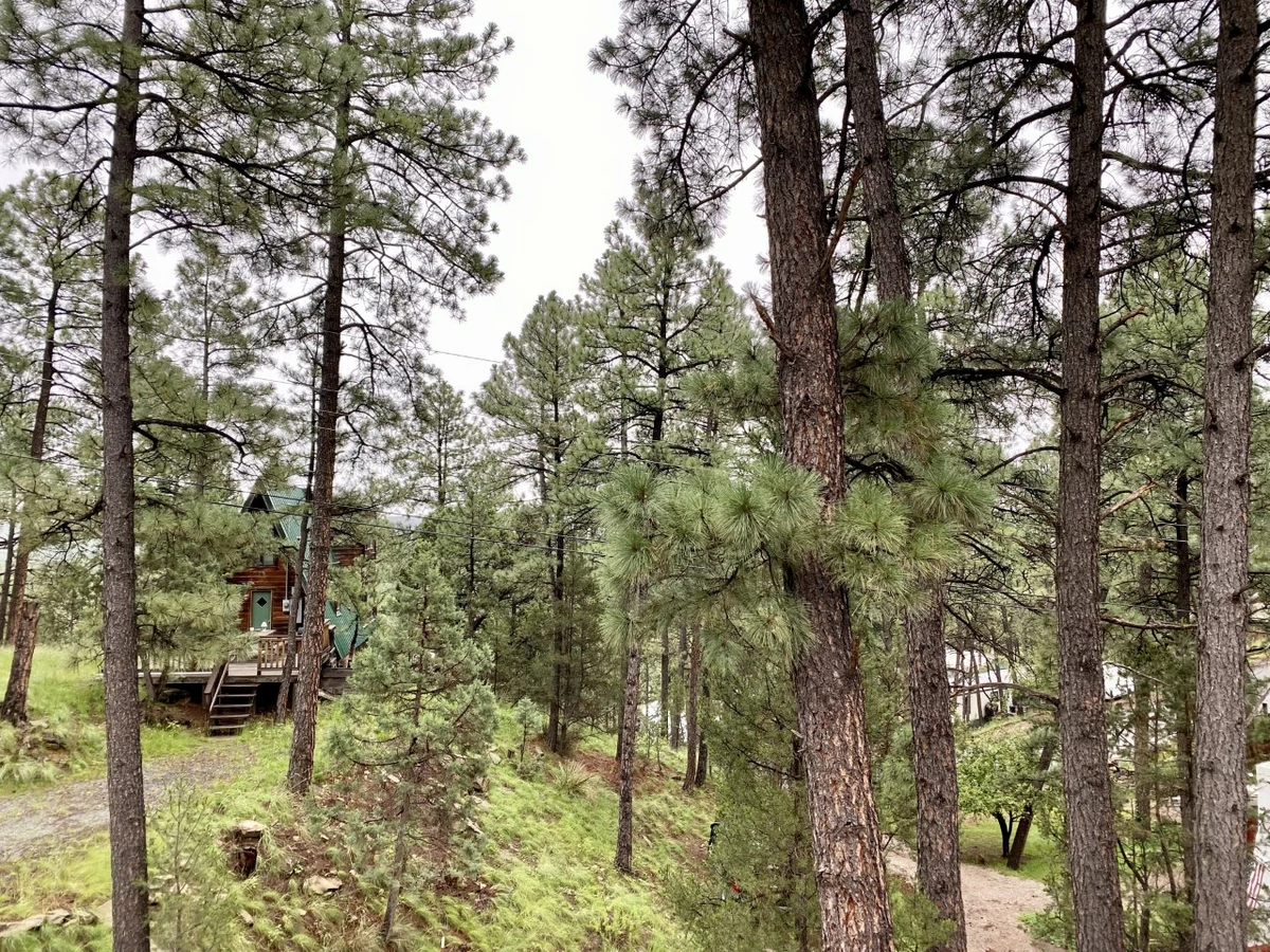 Ruidoso Remains Open While Lincoln & Other New Mexico Forests Close