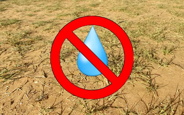 Conserve Even More Water in Lubbock This Summer By Killing Your Lawn