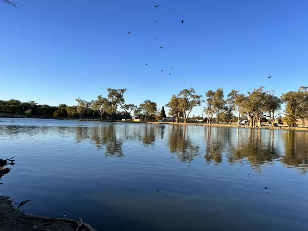 Rules at Lubbock Parks Include No Picking of Flowers, No Metal Detectors