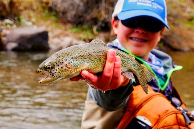 Rainbow Trout To Be Stocked In Texas Ponds and Lakes Soon