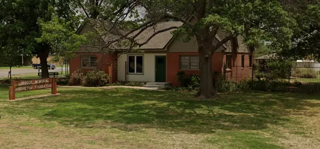 Mystery: Someone Has Buried Something at the Lubbock Arboretum