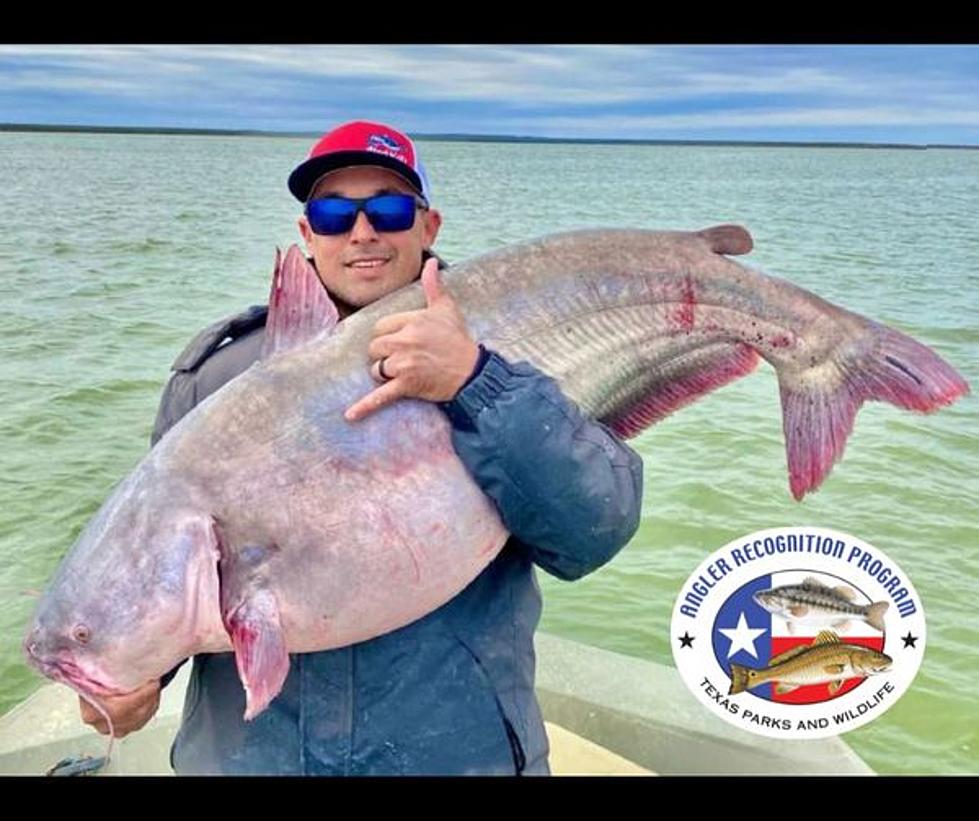 SEE IT: Texas Fisherman Catches Record Breaking Blue Catfish