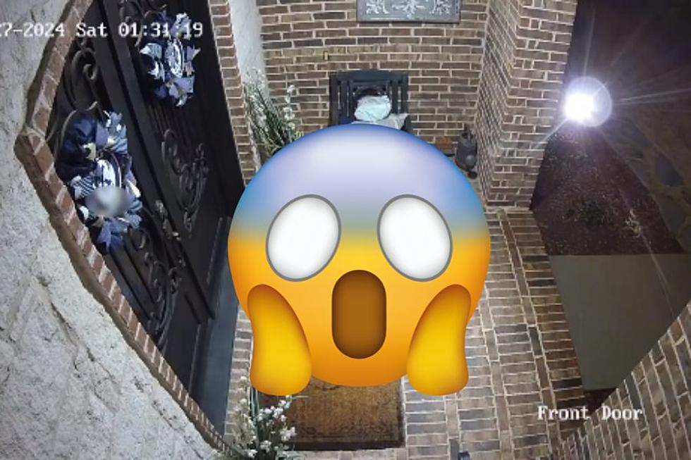 VIDEO: Texas Family Shocked By Furry Porch Pirate Taking Cookies