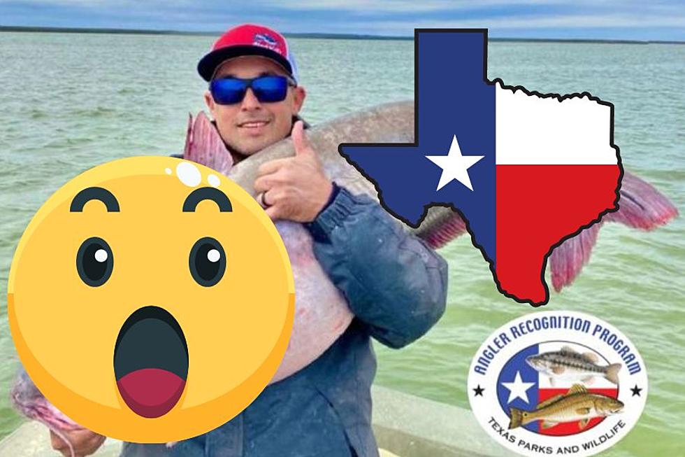 SEE IT: Texas Fisherman Catches Record Breaking Blue Catfish