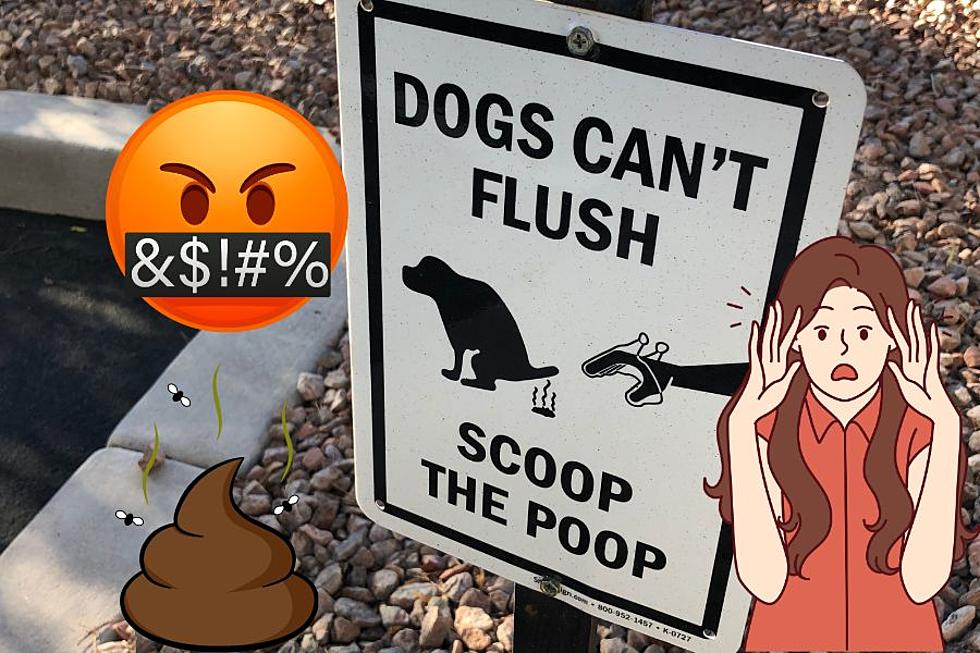 Lubbock Has A Dog Poop Problem, And Citizens Are Getting Fed Up