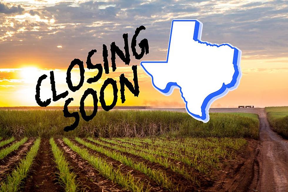 Last Sugar Mill in Texas Is Closing, Blames Mexico and the U.S. State Department
