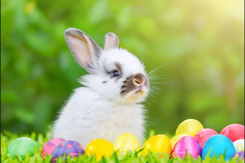 Wolfforth Farmers Market To Celebrate Easter This Saturday