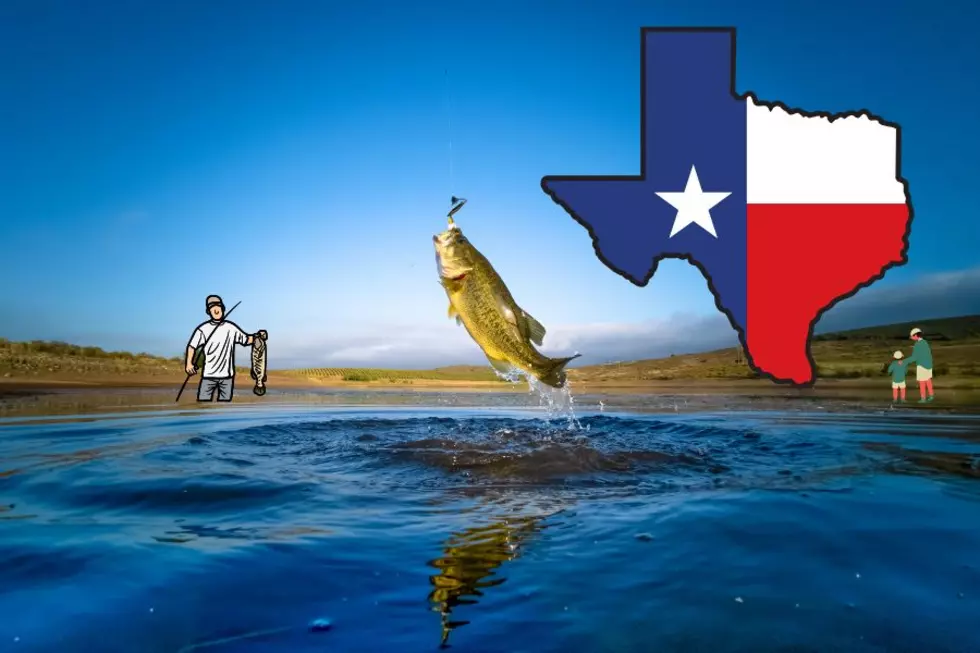 These Are Some Of The Best Places To Fish In Texas In April