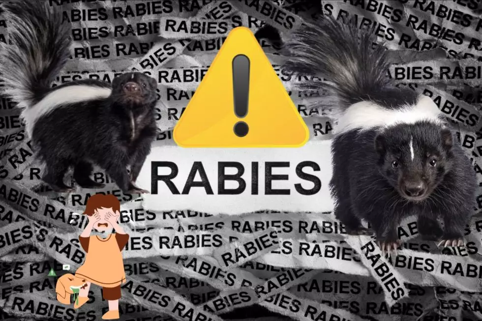 WARNING: Rabies Alert For Lubbock County