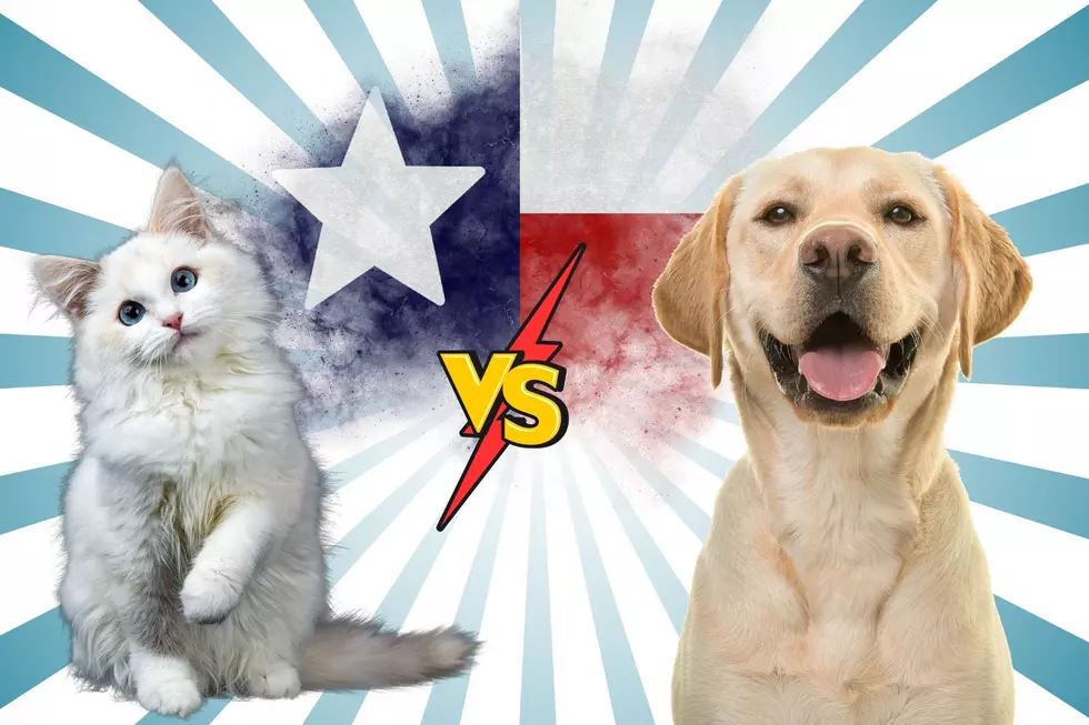 Is Texas a Dog-Person or Cat-Person State?