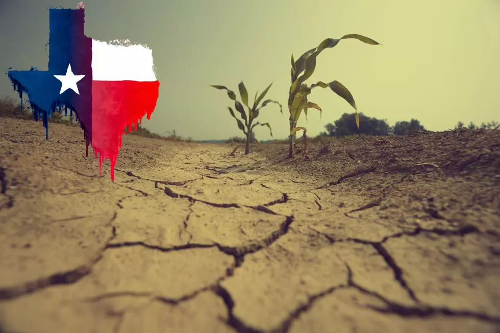 This Was the Worst Drought In Texas History