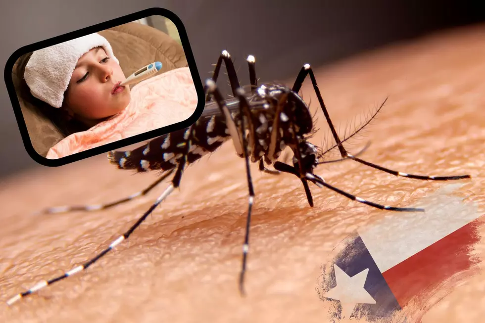West Nile Virus Confirmed in Lubbock Mosquitoes
