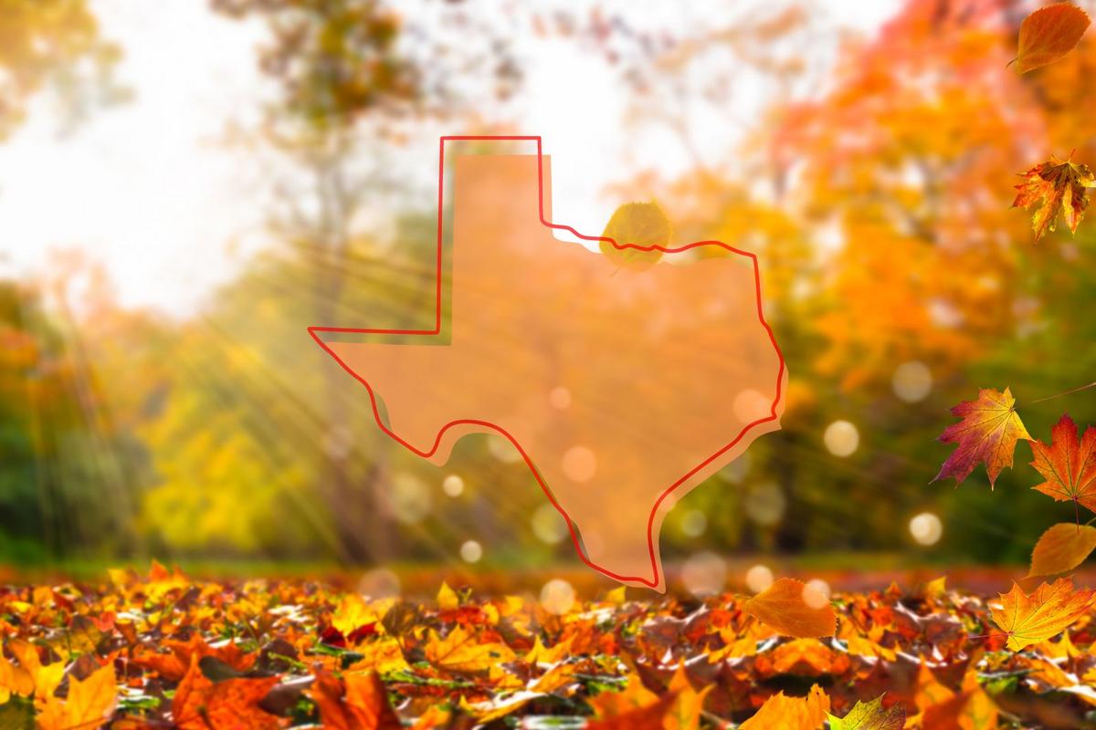 Almost Fall Texas Experience The Best Of Fall In Texas: Festivals, Football, And Fun!