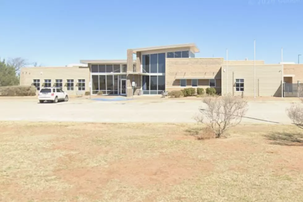 Here’s How Lubbock Animal Services Needs Your Help with Donations