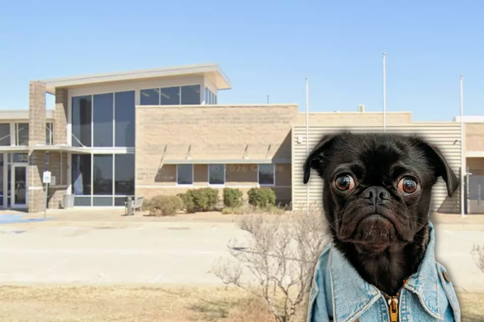 Ready For A New Pet? Big Lubbock Event Happening This Week