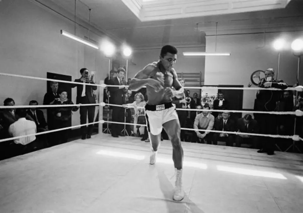 Amazing Sculpture of Muhammad Ali Using Punching Bags [PICS]