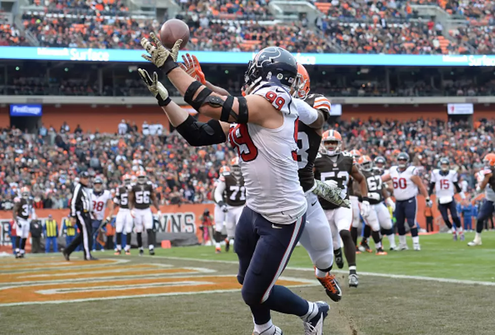 The Houston Texans Beat the Cleveland Browns 23-7