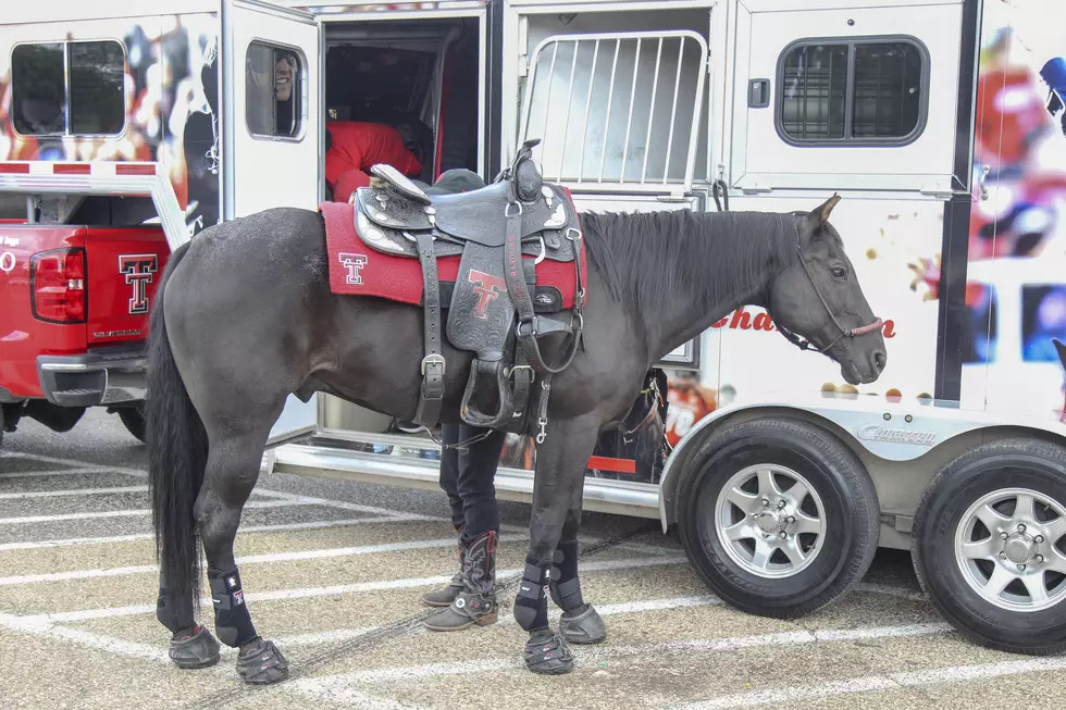 Texas Tech President Dr. Schovanec Drops Bombshell About Cody the Horse
