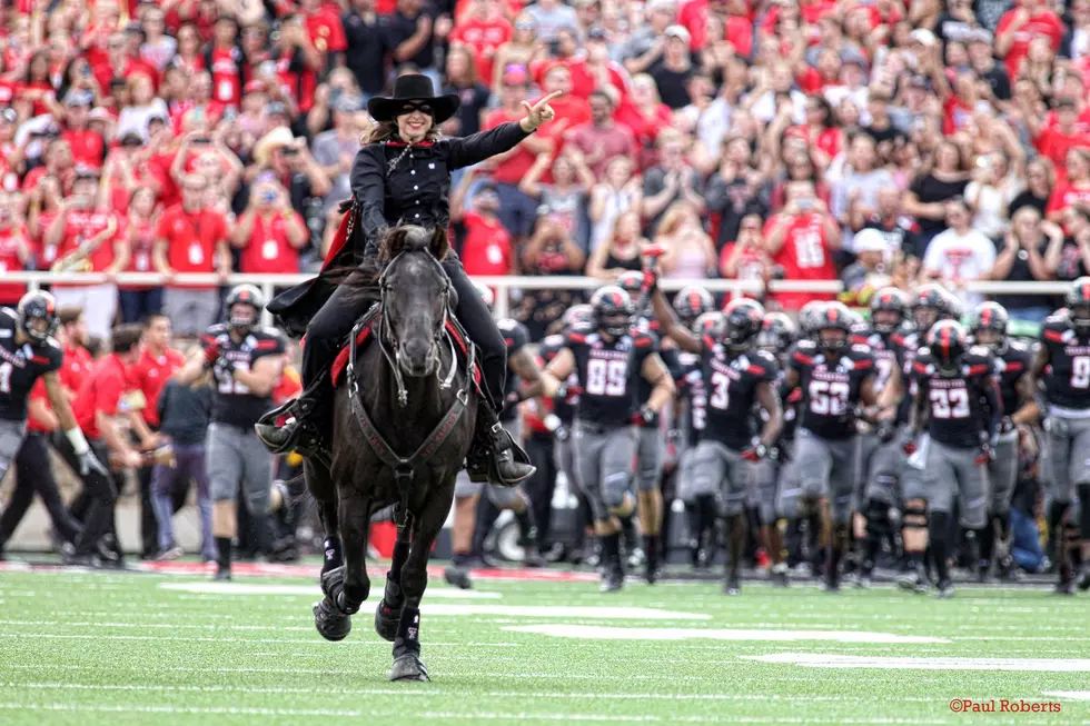 Cody the Horse Will Lead the Red Raiders Onto the Field Against Houston