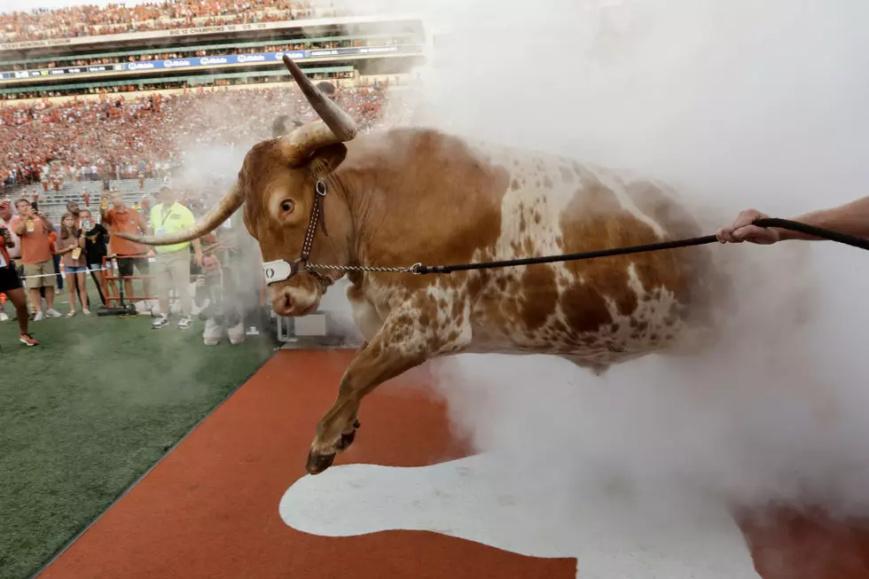If Bevo Ruins the Masked Rider&#8217;s Entrance, It&#8217;s Going Down