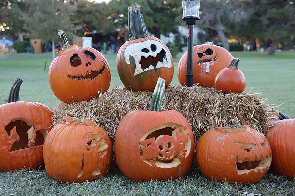 Lubbock Pumpkin Trail is Gearing Up to Accept Jack-o-lanterns