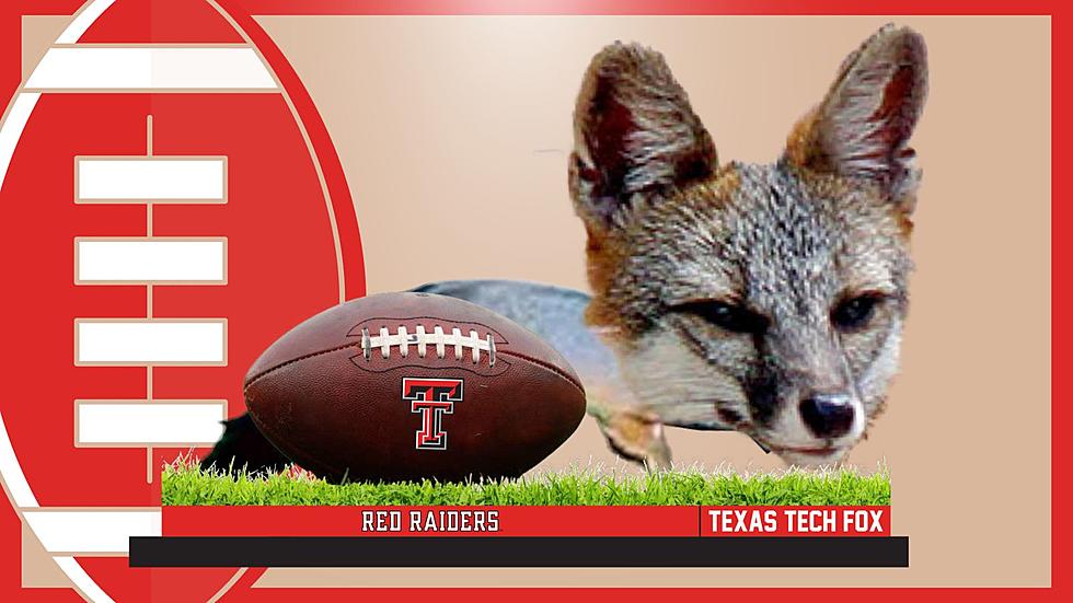 New Bobblehead to Commemorate 10th Anniversary of Texas Tech Fox