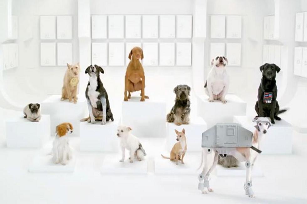 Volkswagen Turns to ‘The Bark Side’ for New Super Bowl 2012 Commercial [VIDEO]