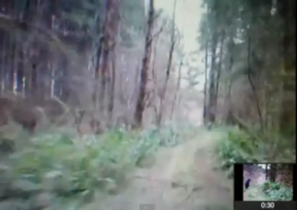 New Video Footage Of Bigfoot Caught On Tape &#8211; [VIDEO]