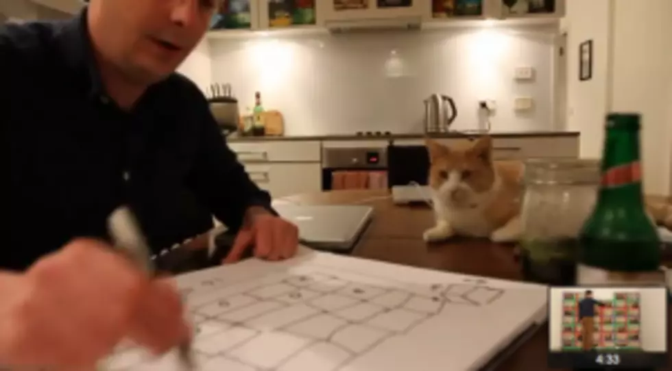 Man Shows True Love To His Cat Buy Building A Cardboard Playhouse