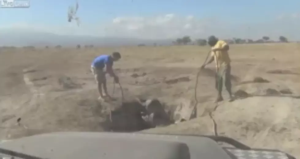 Baby Elephant Rescued After Being Stuck In Hole And Reunited With Its Mother [VIDEO]