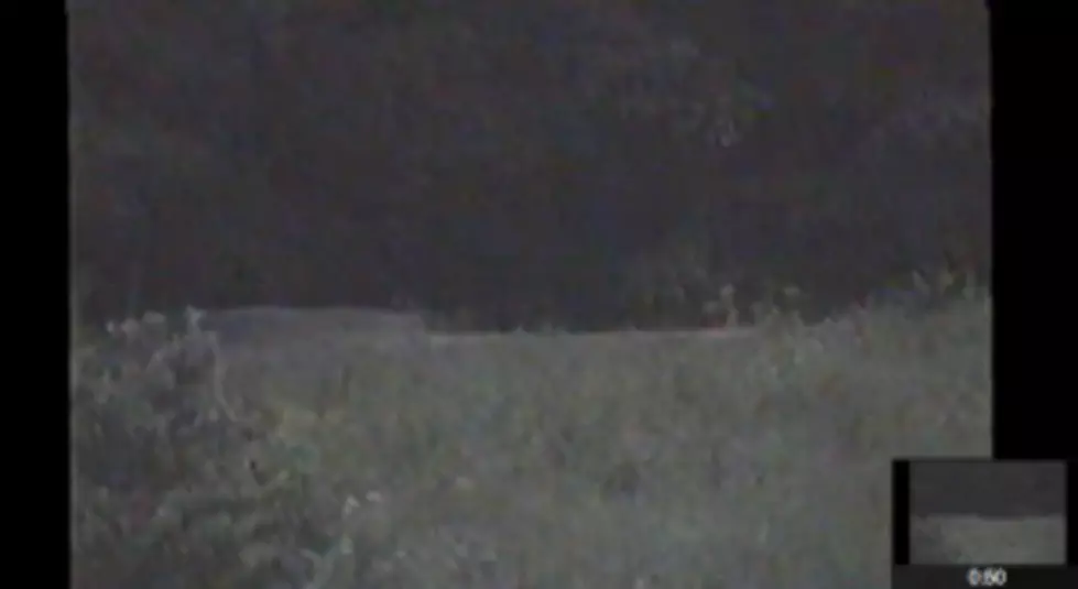 Ghost Sighting Caught On Tape &#8211; Real Or Real Fake? [VIDEO]