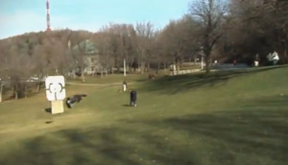 Huge Eagle Drops From The Sky And Snatches Toddler Away &#8211; [VIDEO]