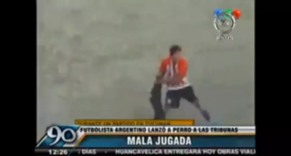 Soccer Player Sent Out Of Game For Throwing Dog Off The Field By It&#8217;s Neck &#8211; [VIDEO]