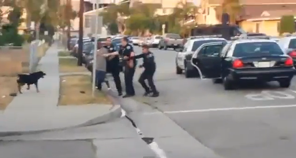 Sad Video Of Cops Shooting And Killing Dog Who Was Trying To Protect Pet Owner &#8211; [VIDEO]