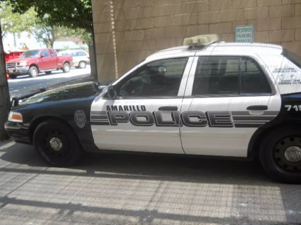 A Bee Causes Amarillo Teen To Wreck Car Into Utility Pole