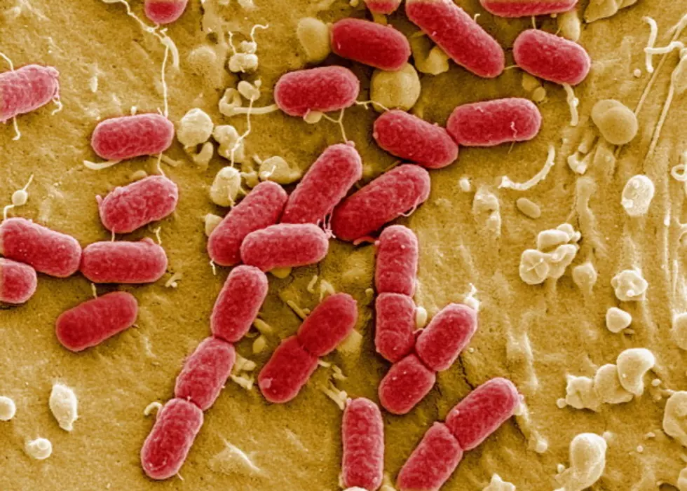 A Dangerous Intestinal Bacteria Has Made Its Way To Amarillo