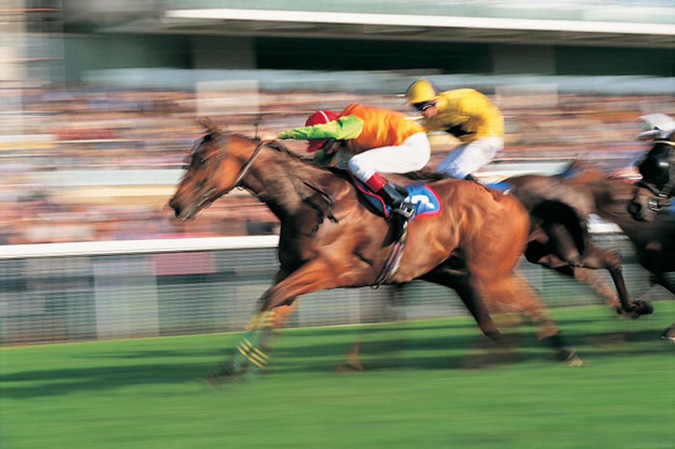 Don&#8217;t Miss the AQHA Day at the Races this Saturday