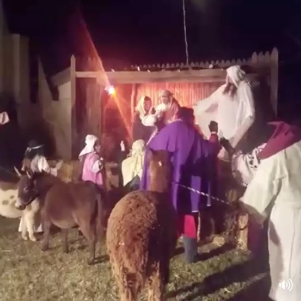 Local Church Reenacts Live Nativity Scene For Public To Enjoy