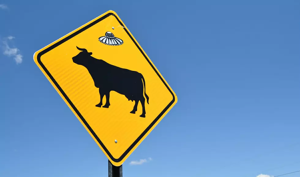 262 Cattle Missing From Perryton Ranch, Was It An Alien Abduction