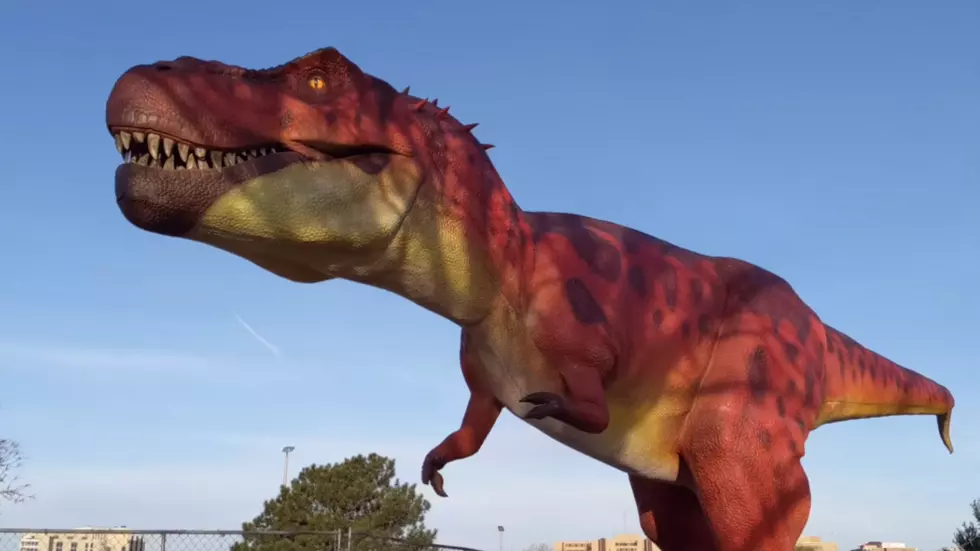 Don Harrington Discovery Center Needs Names For Their Dinosaurs